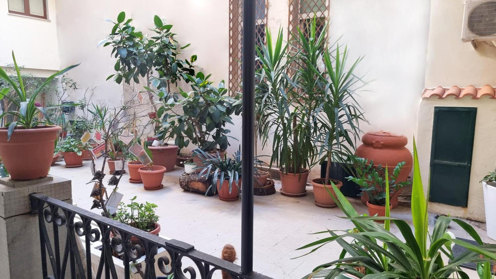 Апартаменты Loft Magna Grecia Reggio Calabria Centro Storico A 3 Minuti A Piedi Dal Mare Экстерьер фото